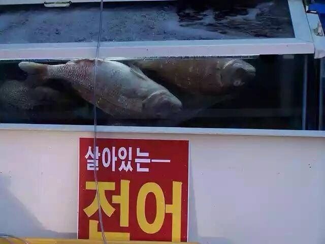 뭔가 잘못된것같은 기분 | 인스티즈