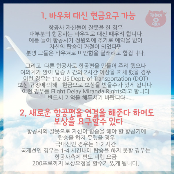 항공사가 숨기는 탑승객 권리 10가지 | 인스티즈