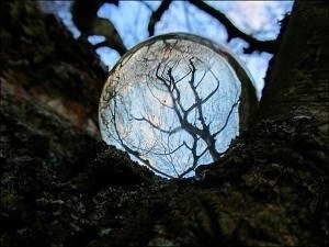 [고르기] 상상 속 인물 중 되고 싶은것은? (+ | 인스티즈