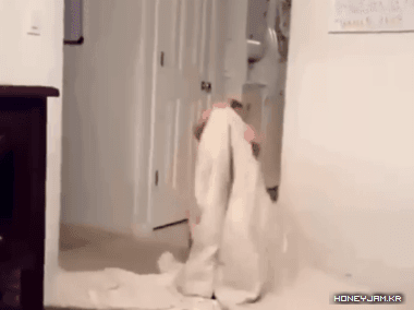 마음만은 최고의 마술사 | 인스티즈