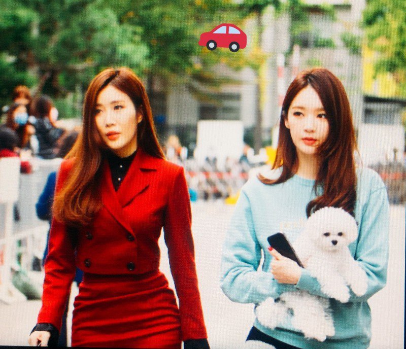 음악방송 출근하는 강아지.jpg | 인스티즈