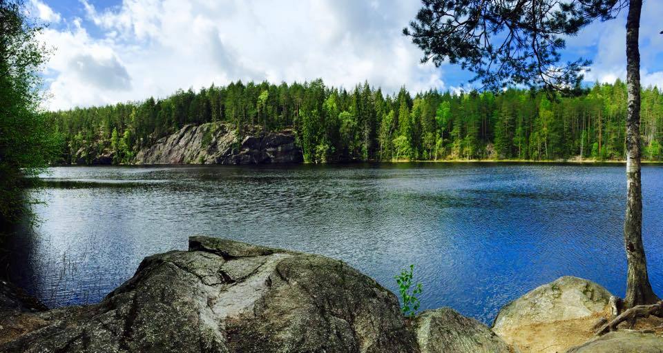 2455624458805E462B5289