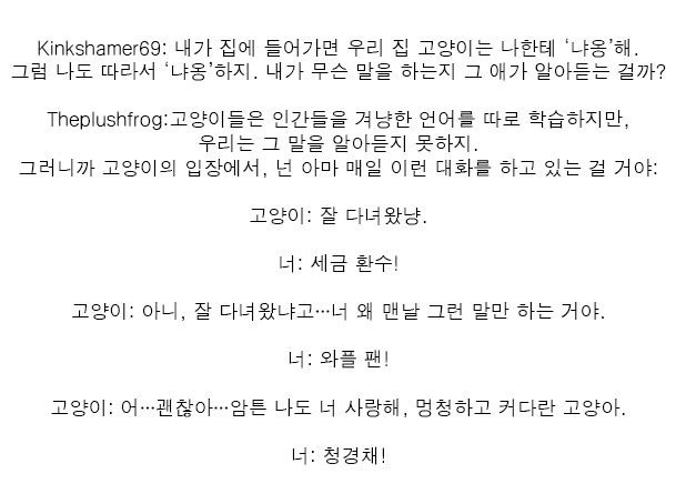 고양이가 당신을 멍청하다고 생각하는 이유 중 하나 | 인스티즈