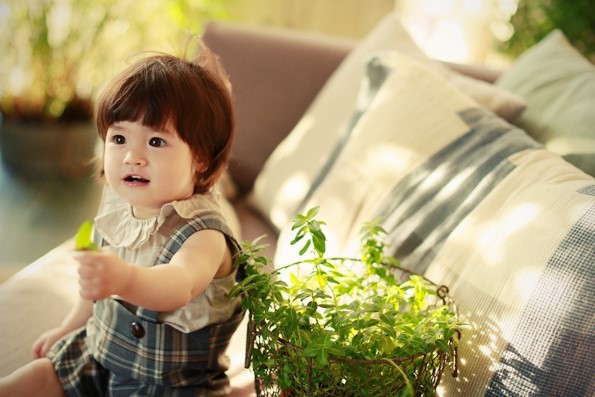 스튜디오숲 이미지