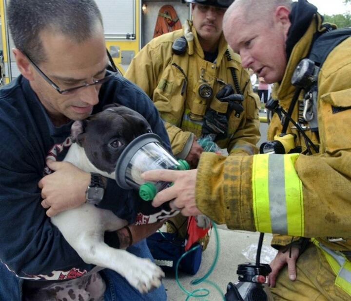 생명의 소중함을 누구보다 잘 아는 사람들 | 인스티즈