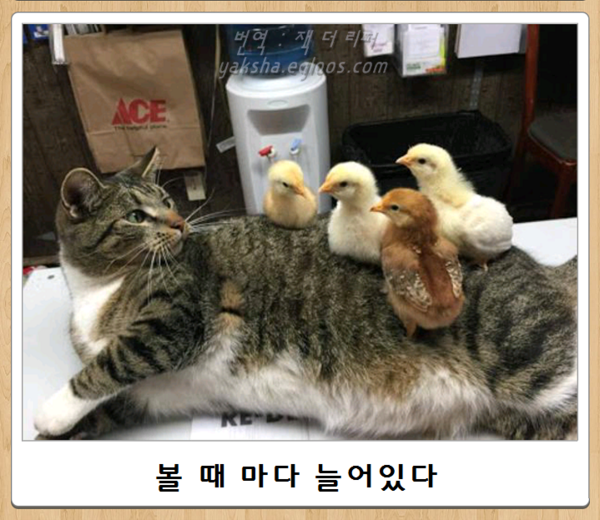 최신 보케테 | 인스티즈
