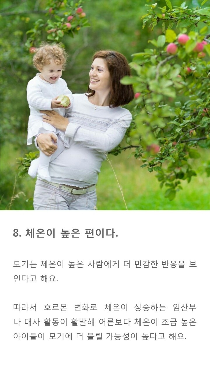 모기에게 잘 물리는 사람들 특징 9가지 | 인스티즈