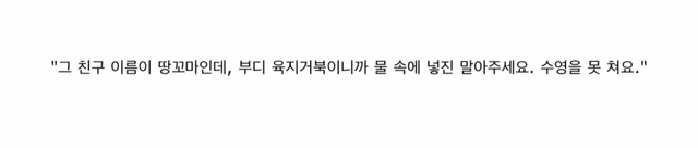 흔치 않은 아이돌의 애완동물 일대기.jpg | 인스티즈