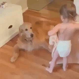 개를 아끼는 주인.gif | 인스티즈