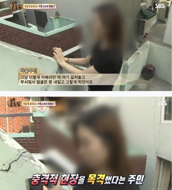 이유없는 강아지 학대 | 인스티즈