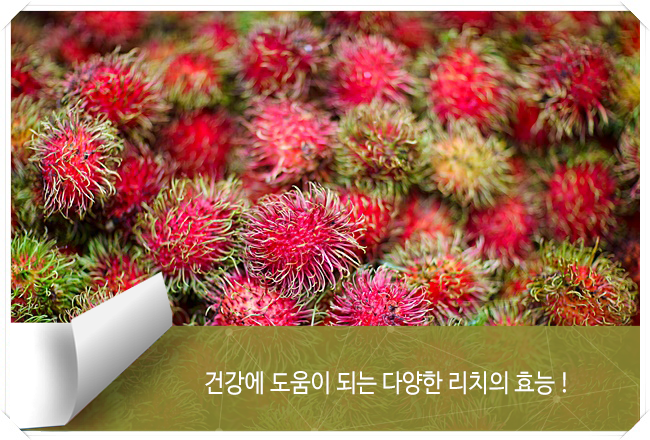 리치 이미지