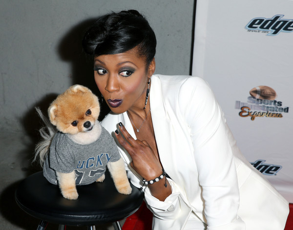 견종 이야기 - 포메라니안 | 인스티즈