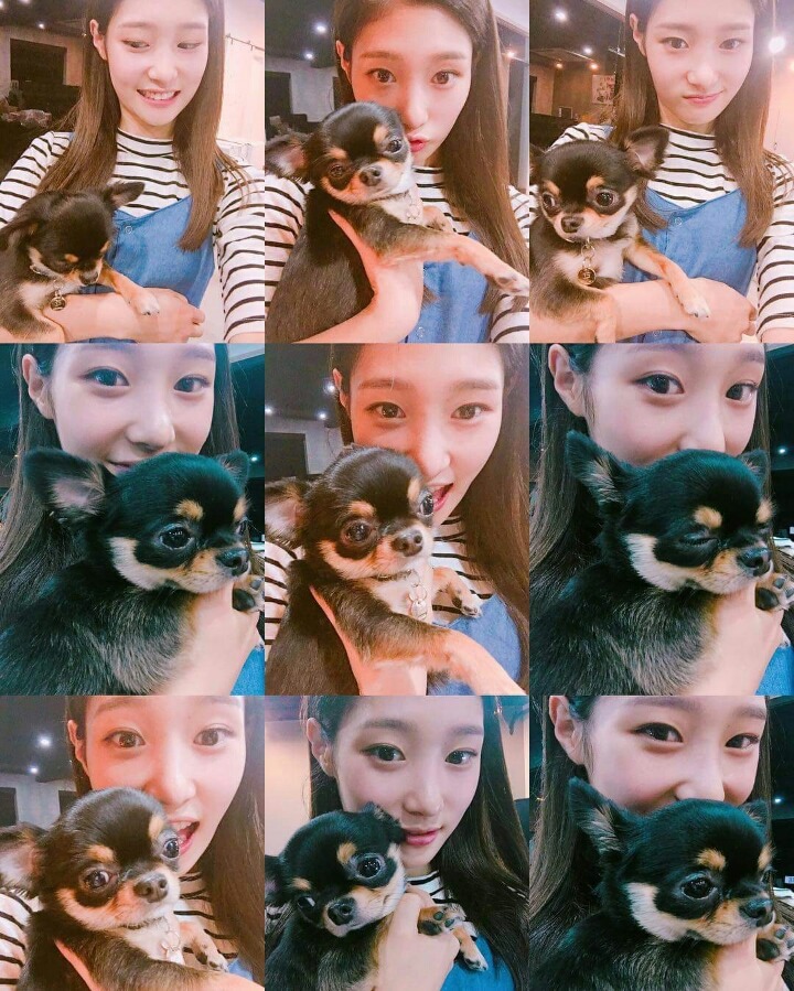 진짜이쁜 정채연 | 인스티즈