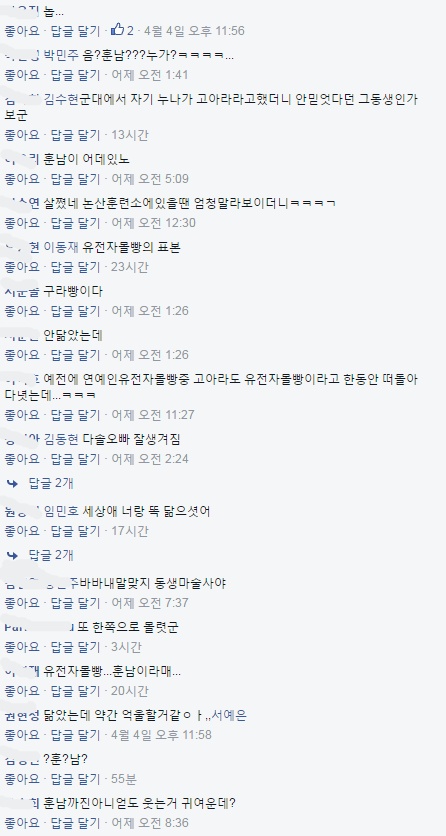 본인 외모기사에 댓글 단 고아라 동생ㅠㅠ | 인스티즈