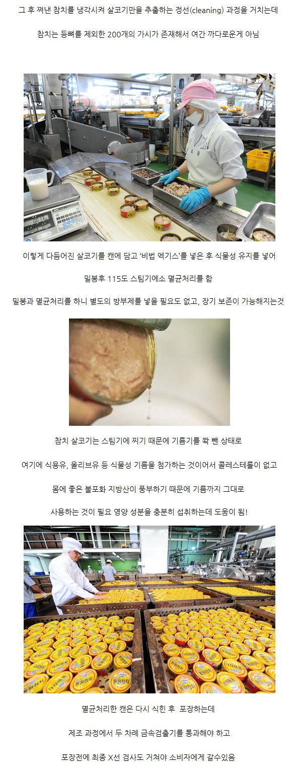 참치캔 만드는 과정 | 인스티즈