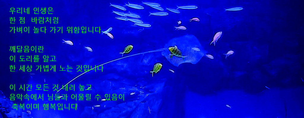 포토그래픽 이미지