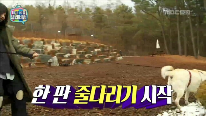 [마리텔] 조련당하는 민아 | 인스티즈