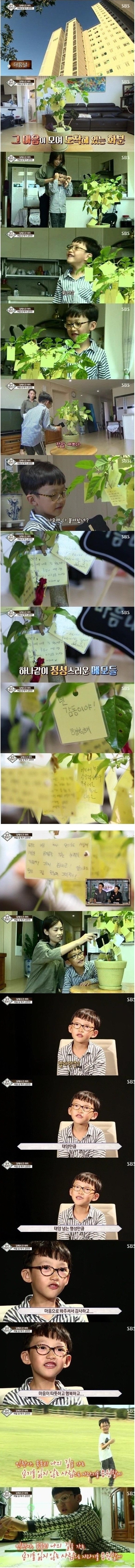 TV에서 보던 영재들 중 甲 | 인스티즈
