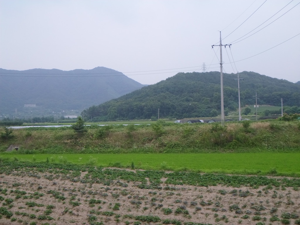 함박산주유소 이미지