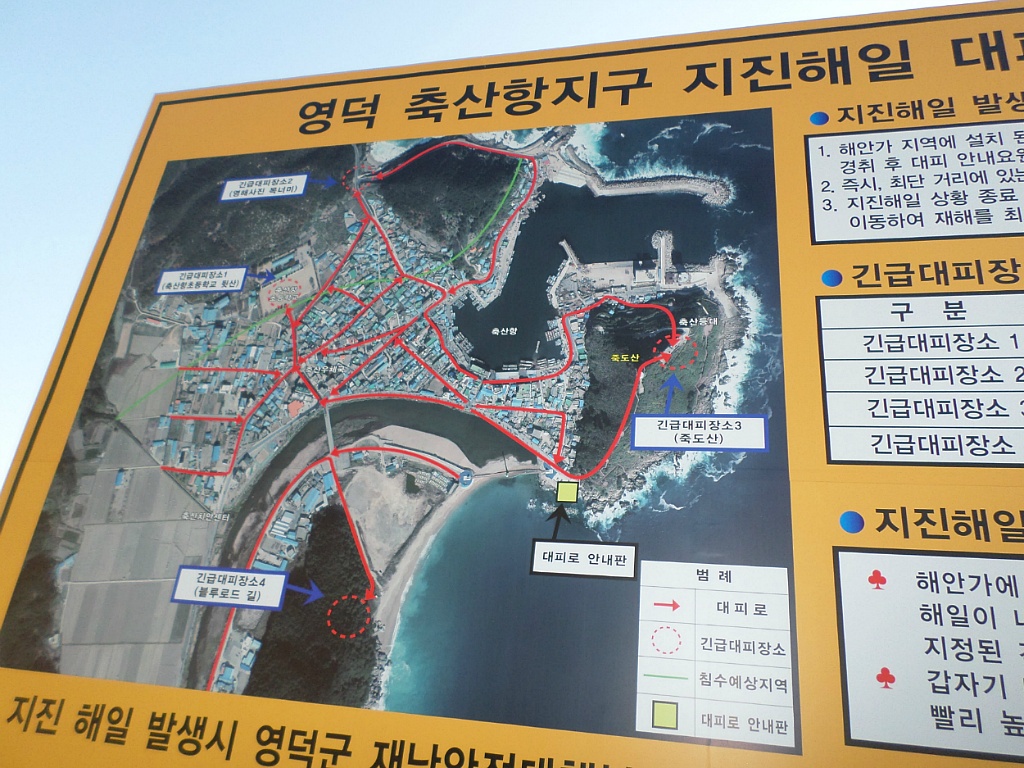로드비 이미지