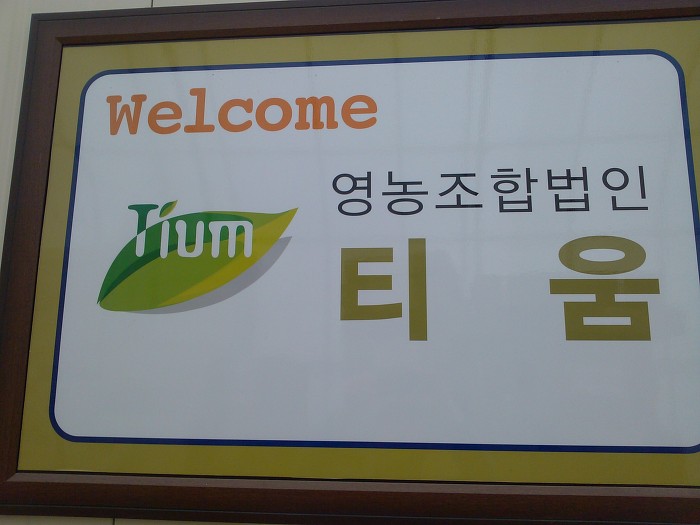 육거리고추 이미지