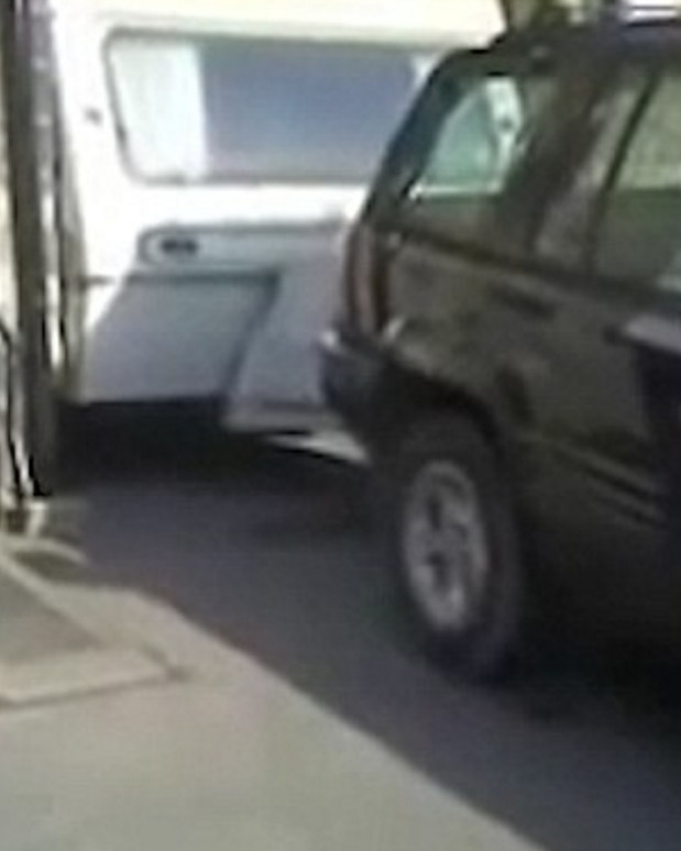 얘들아! 캠핑가자!.gif | 인스티즈