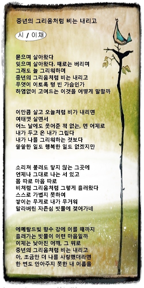 비가 오면 중년의 가슴에도 비가 내리네, 등 중년 비에 관한 시 7편/ 이채시인