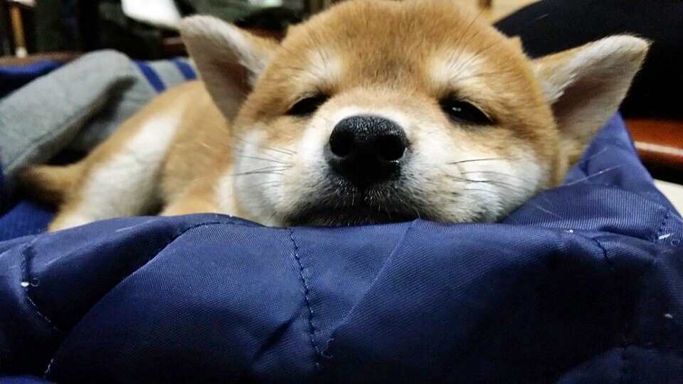 봉자 이미지