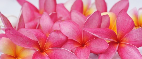 여성 성기에 대해 당신이 모르는 10가지 사실 | 인스티즈