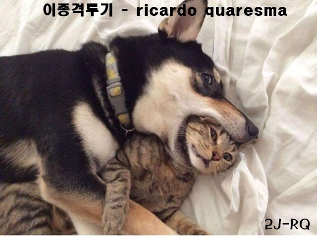 흔한 대한민국 여고생 클라스.jpg- | 인스티즈