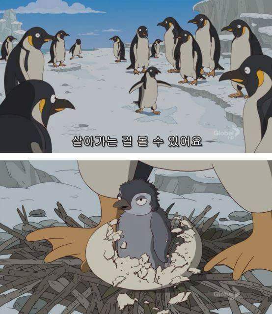 심슨에서 말하는 인생이란.. | 인스티즈