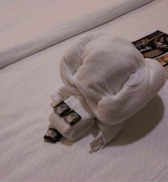 255F5A3455246CC036FF86