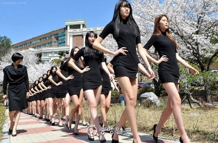 모델학과 학생들의 워킹연습 | 인스티즈