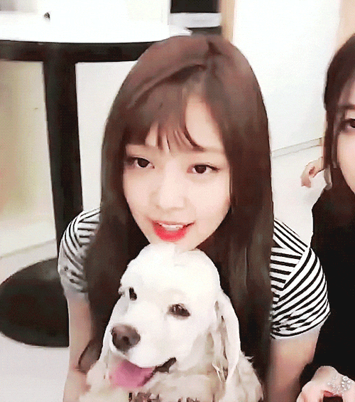 블랙핑크의 귀요미 담당.gif | 인스티즈
