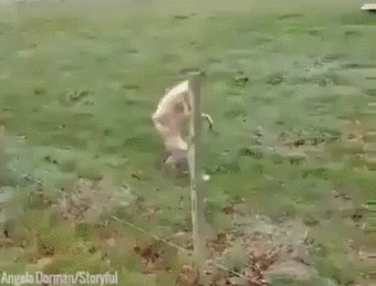 샤워하고 수건 방에 있을때.GIF | 인스티즈