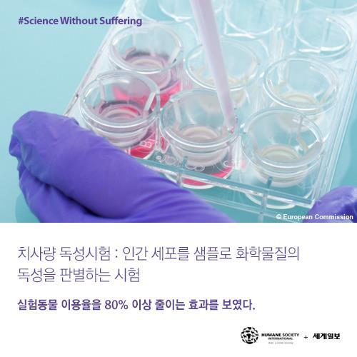 저를 죽이기 전에 눈을 한번 봐주세요(혐오주의) | 인스티즈