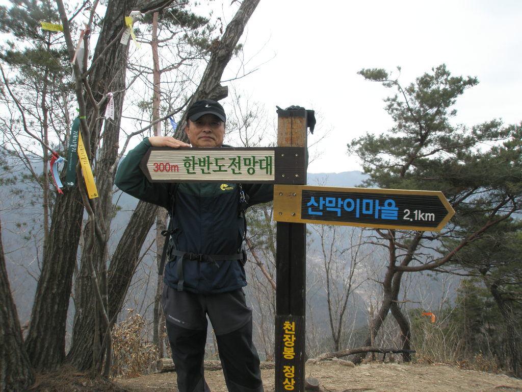 반값복사 이미지