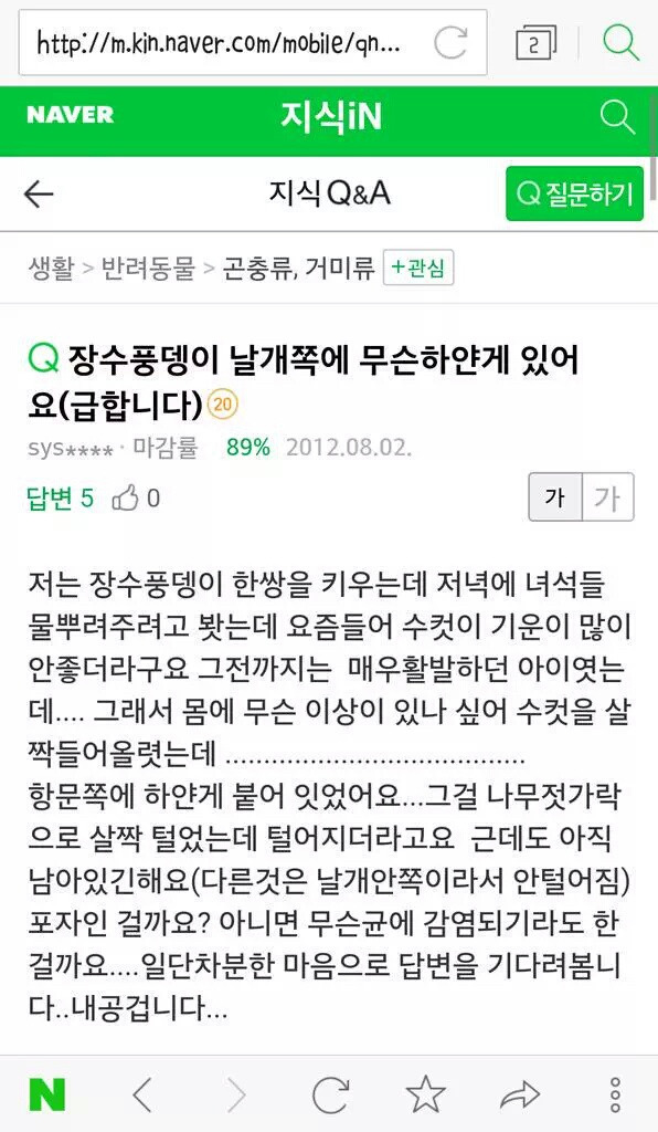 장수풍뎅이 대참사 | 인스티즈