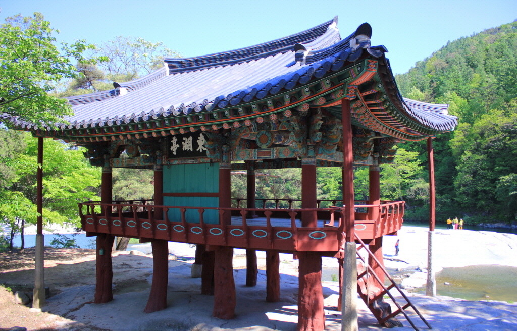 정자 이미지