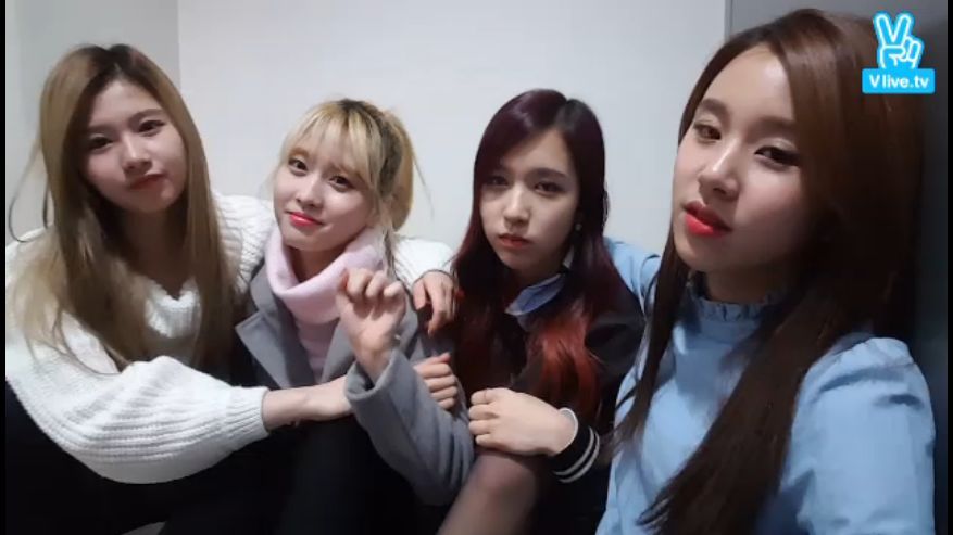 [트와이스] 미사모챙 V앱 기습라이브 캡쳐 | 인스티즈