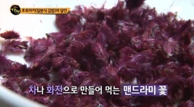 생활의달인 부산 후토마키 김밥.jpg | 인스티즈