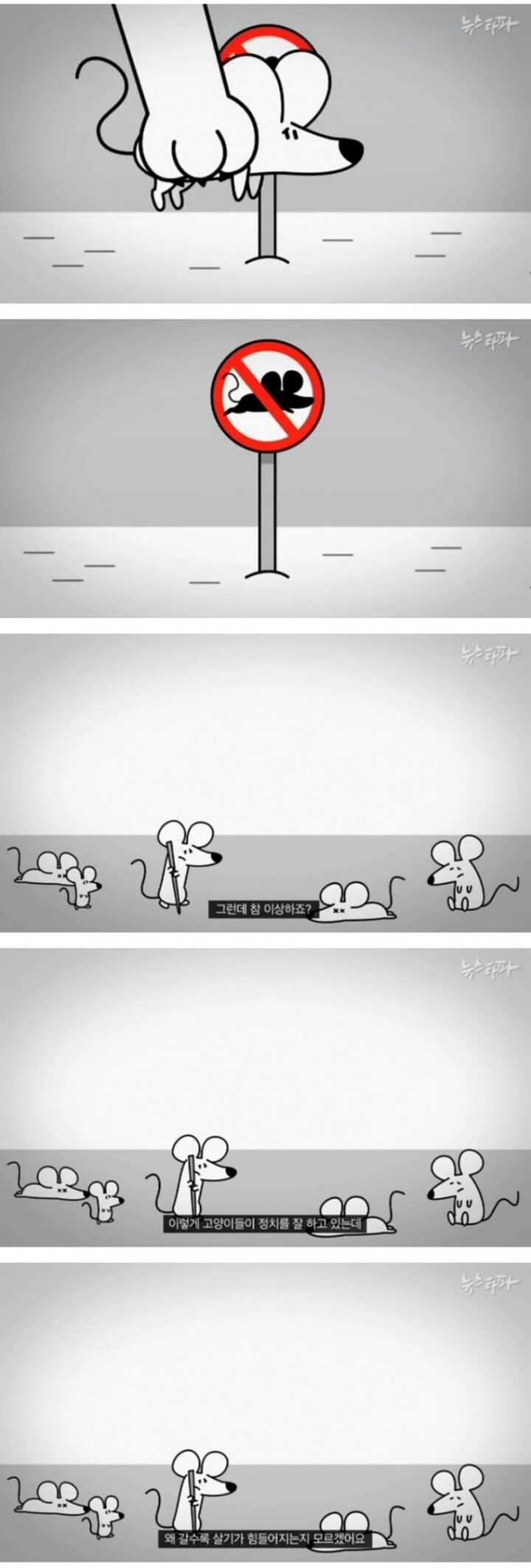 생쥐와 고양이.jpg | 인스티즈