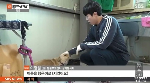 차에 치인 강아지.jpgif (훈훈주의) | 인스티즈