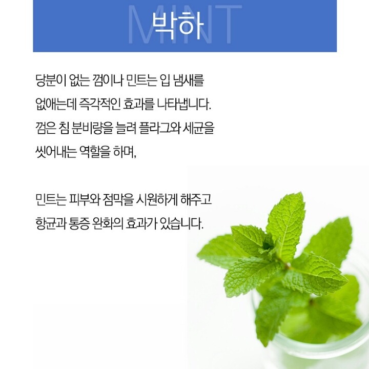 입냄새를 잡아주는 8가지 | 인스티즈
