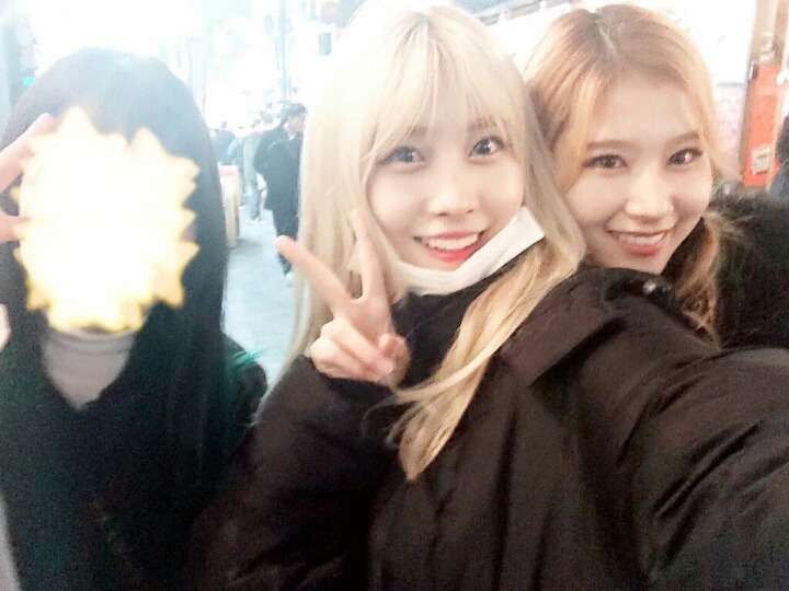 [트와이스] 홍대 명동에서 노는중~ | 인스티즈