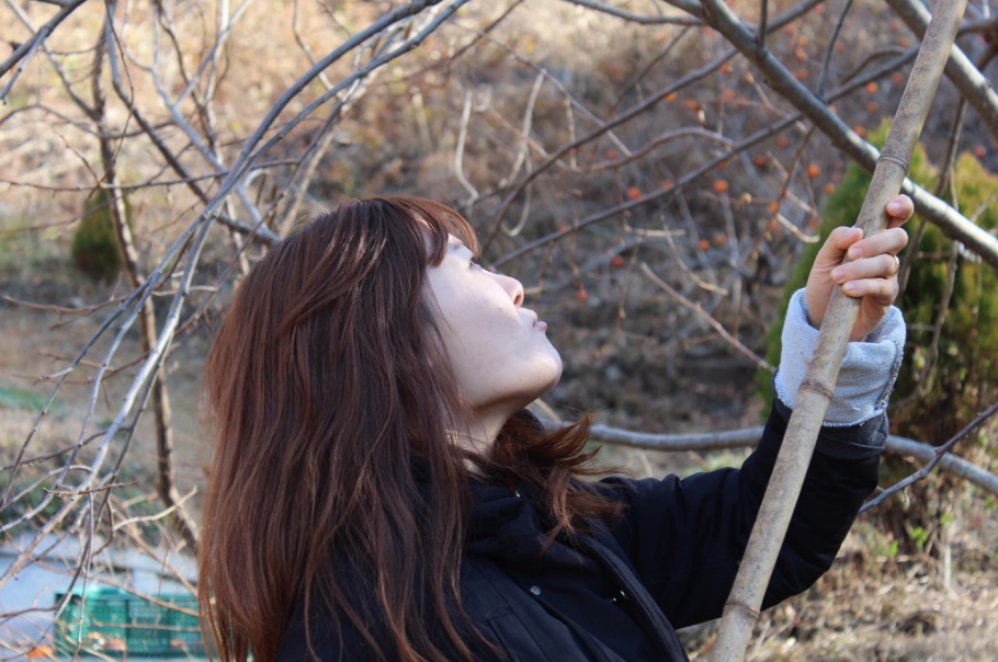 울리불리 이미지