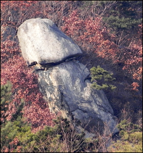 자연의 신비함 | 인스티즈