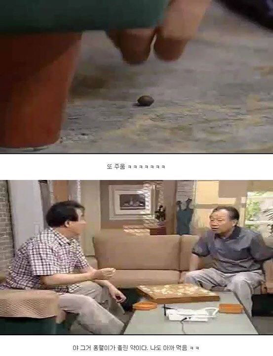 레전드 토끼사건 | 인스티즈