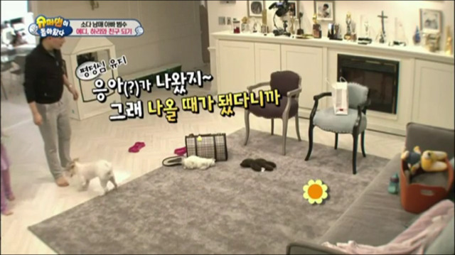 이범수가 동물을 대하는 방식.jpg | 인스티즈