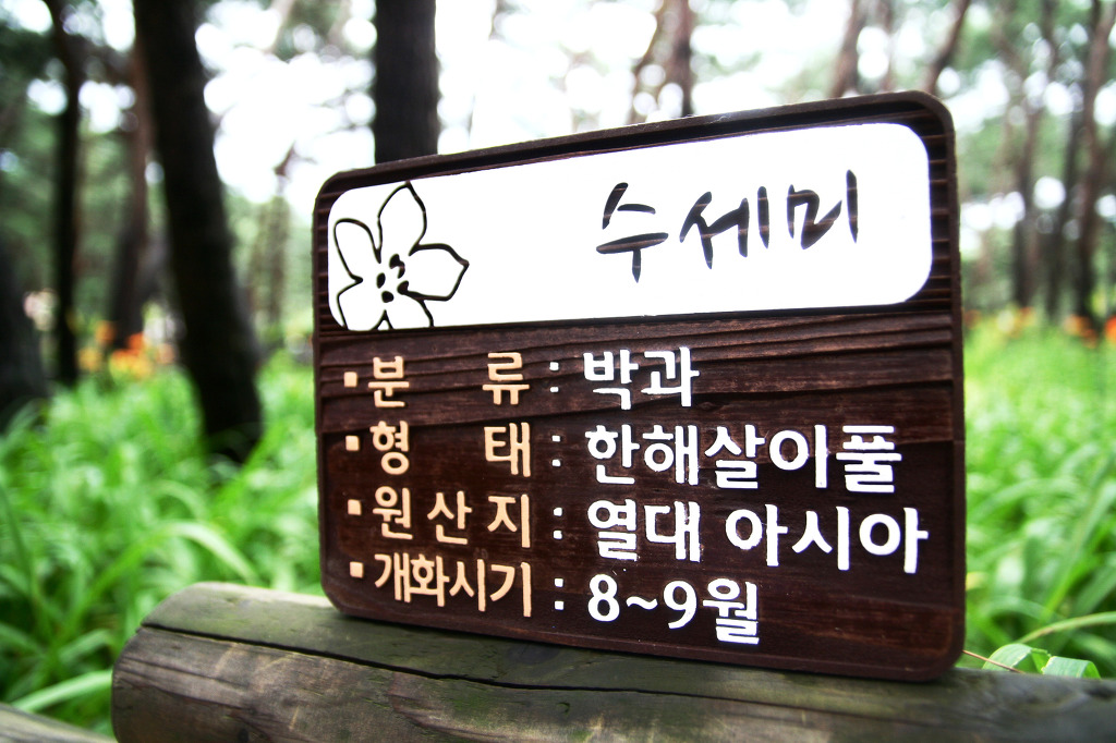 간판공작소 이미지